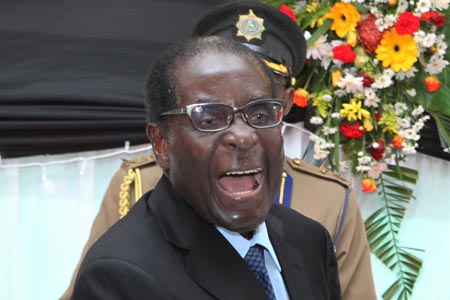 Zimbabwe, l’Alta Corte da ragione al gruppo LGTB Galz, si attende la reazione di Mugabe