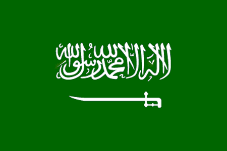 Arabia Saudita, 3 anni di prigione e 450 frustate per avere incontrato uomini via Twitter