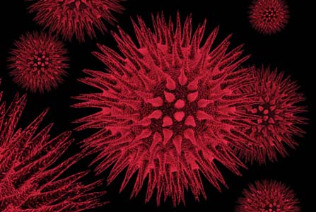 Australia: altri due pazienti si liberano dell’HIV dopo un trapianto di midollo