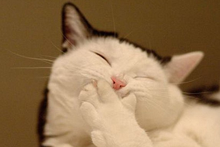 Ci siamo molto divertiti, grazie (ovvero di offese e sessismo e quant’altro)…