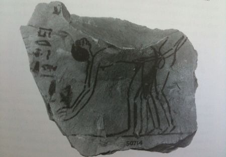 Egitto, otto uomini condannati a tre anni per essersi presuntamente sposati tra loro