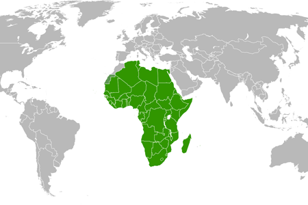 Unione Africana: una forza multinazionale contro Boko Haram