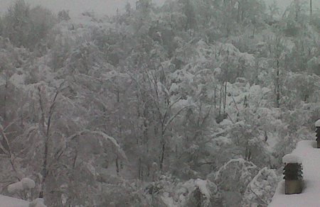 Neve al nord, trasporti, elettricità ed internet sotto scacco