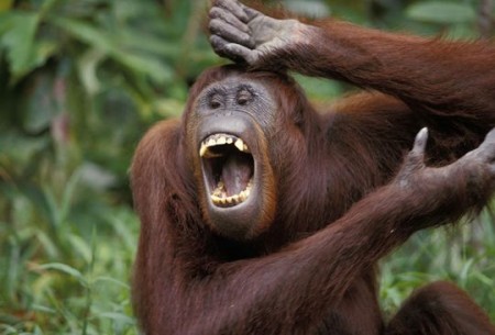 L’uso dell’ironia che genera mostri (e commenti feroci). Parliamone