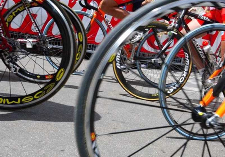 Sport & Sportivi & Rinoceronti