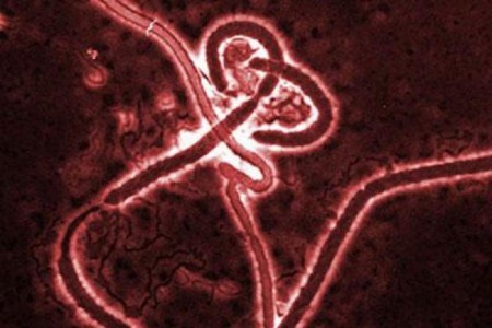Ebola: c’è il vaccino e per l’OMS è efficace al 100%