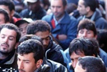 Bologna, edizione 2015 del profilo socio-demografico dei cittadini stranieri nell’area metropolitana