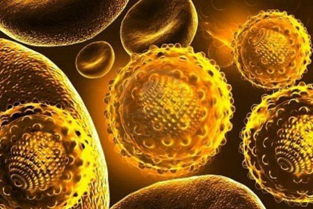 Epatite C, associazioni: “Trattati solo metà dei pazienti promessi, a rischio salute e sconti sui nuovi farmaci”