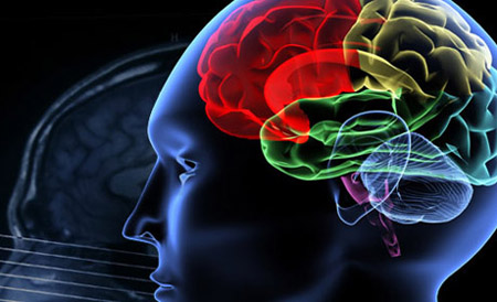 3 dicembre in Emilia Romagna, un miliardo di disabili nel mondo: come favorire l’inclusione