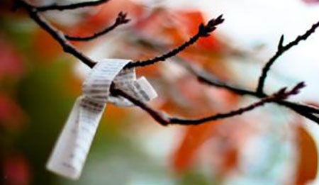 A Roma sbocciano alberi di Poesia grazie a Libra 2.0 e Monica Maggi