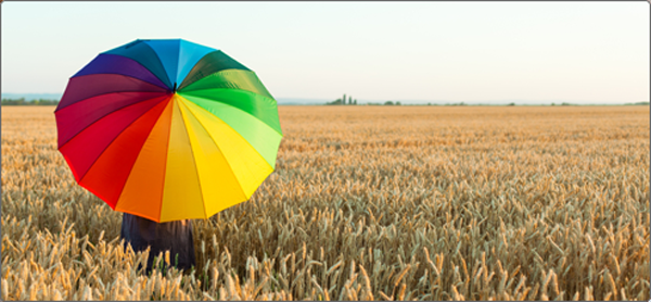 Un corso di “Storia dell’Omosessualità” all’Università di Torino