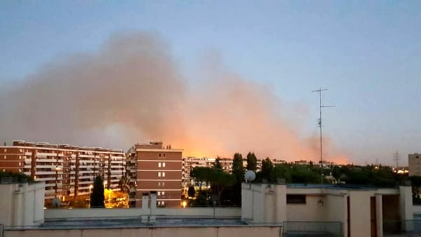 Il disprezzo del Cittadino a 5 Stelle per chi lo vota: “Ci spiace non averLa risvegliata in Svizzera”