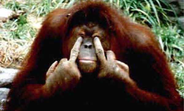 “Io non ho nulla da cui scusarsi se non si dovrebbero scusare quei radical chic”… Rock’n’roll