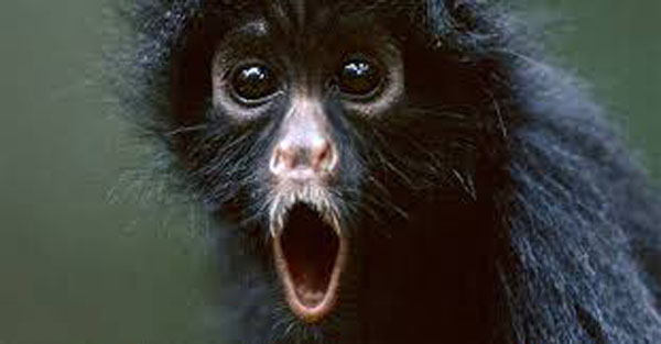 Cosa importa se ne sai più di me, tu non mi dici quello che “Io” voglio sentire…