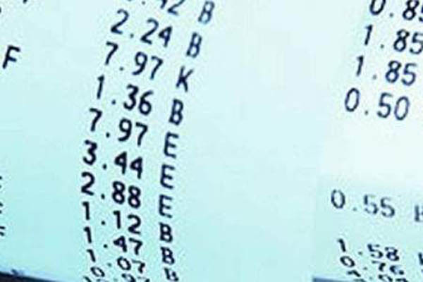 La Setta dei super-onesti che sono come gli altri, soltanto più maldestri. Così vuole la Vendetta del Cittadino