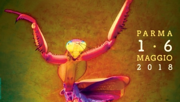 May Days, incontro con la danza d’autore. A Parma, dal 1° al 6 maggio