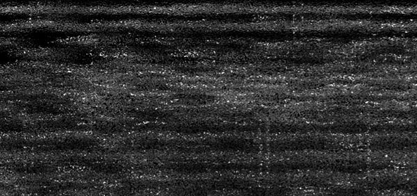 Dal 10 giugno Erratum presenta la mostra “Elliott Sharp. Syzygy” a cura di Sergio Armaroli e Steve Piccolo