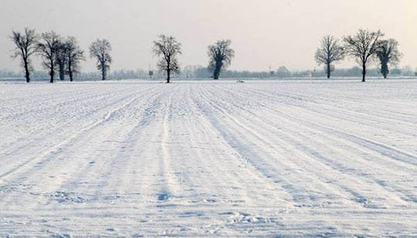 E dopo un’estate anomala nevicate precoci? Speculazioni meteo…
