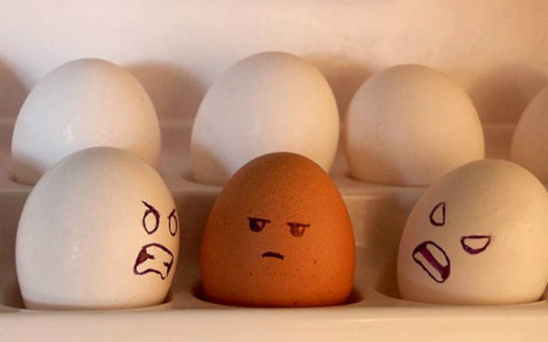 Sei immigrato e hai addirittura l’ardire di voler mangiare, pagando, pollo e patatine, che mancanza di rispetto