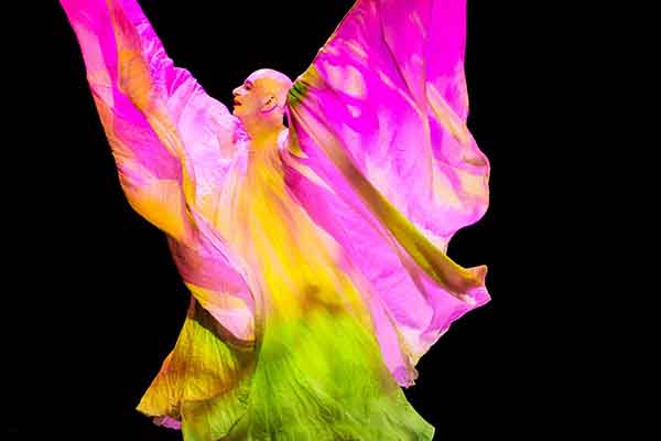 Ciao Lindsay, ci vediamo in paradiso… di Emilio Campanella