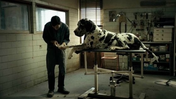 “Dogman” di Matteo Garrone rappresenterà l’Italia agli Oscar