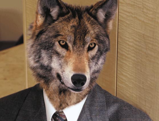 C’è differenza tra politica e sciacallaggio