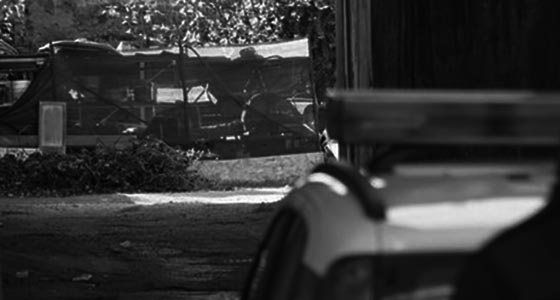 Chi di fango ferisce di fango perisce o di rifiuti inerti al posto del cervello