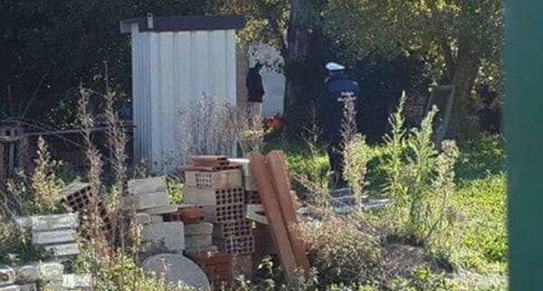 E il liquidatore fu il fratello (o dei vantaggi di una famiglia numerosa)