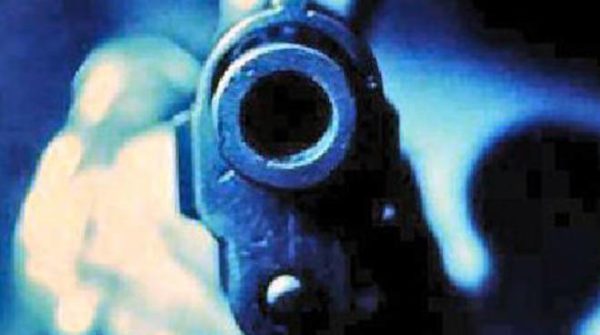 Quando i gemelli grillini dicevano “togliamo le pistole dalle case degli italiani e lo strapotere alla lobby delle armi”