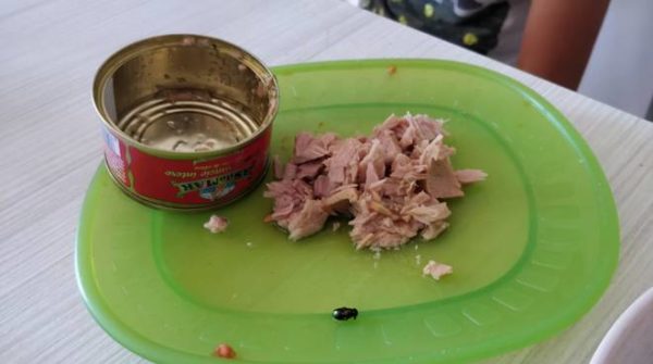 O della scatoletta di tonno imputridito…