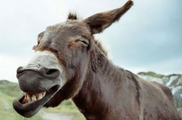 La tragedia del bimbominkia