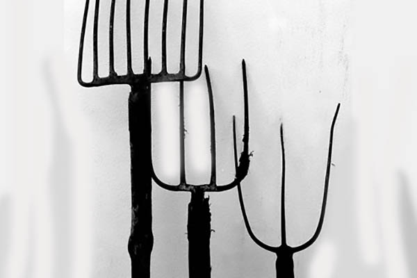 L’era dei bifolchi al potere