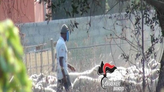 Un giovane pastore di 20 anni ridotto in schiavitù a Brindisi: due arresti