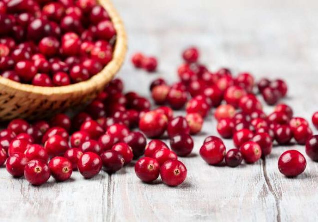 Cranberry, provenienza e proprietà benefiche