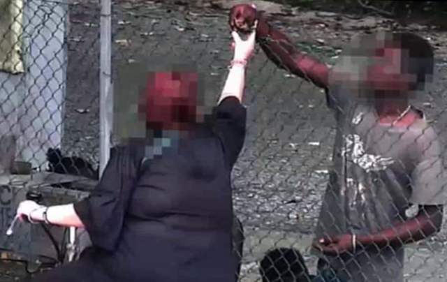 YouPol. L’app della Polizia di Stato per smartphone si aggiorna prevedendo la possibilità di segnalare i reati di violenza che si consumano tra le mura domestiche