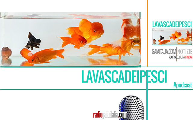 Disponibili su Radiogaiaitalia.com e in #podcast le quattro puntate dei Weekendletterari Web di ottobre #WLWeb2020