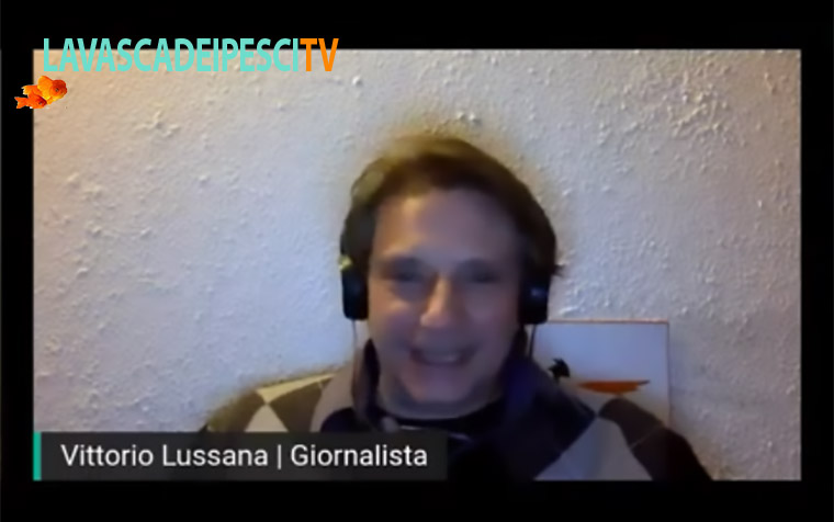 Il neo-liberismo “selvaggio” non è la soluzione per ripartire #Giustappunto di Vittorio Lussana