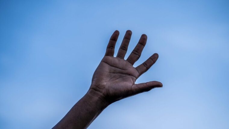 L’umanissima professoressa che aizza gli alunni contro “lo scimpanzé” che va “isolato”