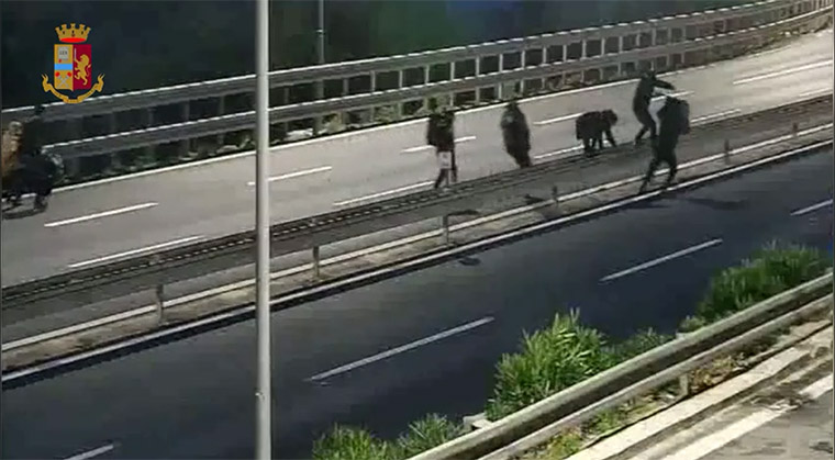 Videonotizia. Arrestato dalla Polizia di Stato un “passeur” sulla Genova-Ventimiglia