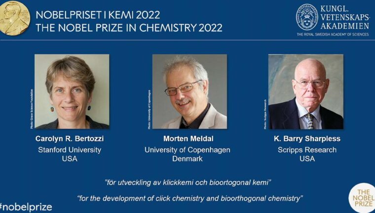 Nobel per la chimica a Carolyn Bertozzi, Morten Meldal e Barry Sharpless