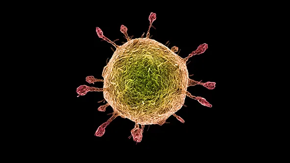 AIDS, il vaccino potrebbe essere davvero alle porte