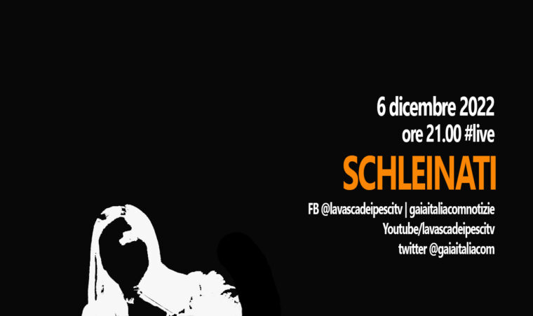 La Vasca dei Pesci presenta “Schleinati”: il 6 dicembre alle 21.00 in streaming #live