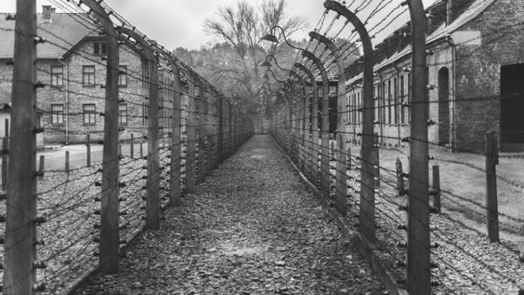 La Memoria come dovere di Testimonianza: 27 gennaio 2024