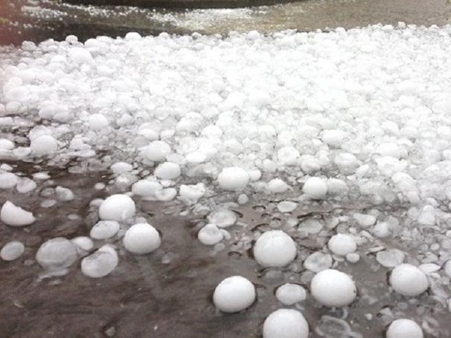 Maltempo e grandine devastano i raccolti in Piemonte, Lombardia e Veneto