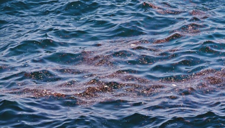 Oceani a 21° celsius. Gli scienziati: “Mai visto niente di simile”