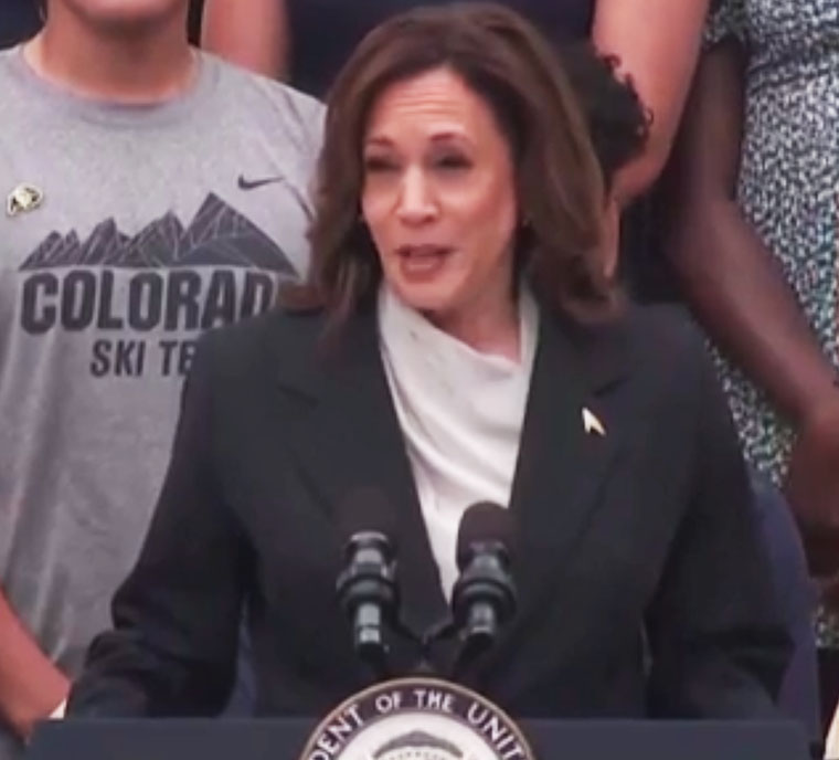 Kamala Harris won the majority of delegates for the nomination