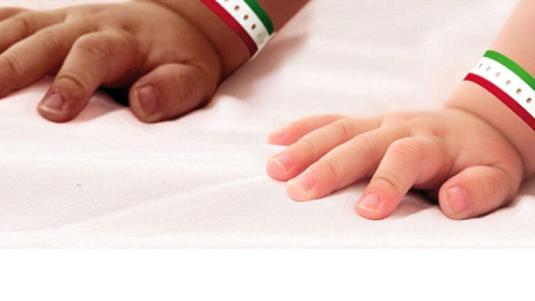 Referendum sulla Cittadinanza: raggiunte le 500mila firma