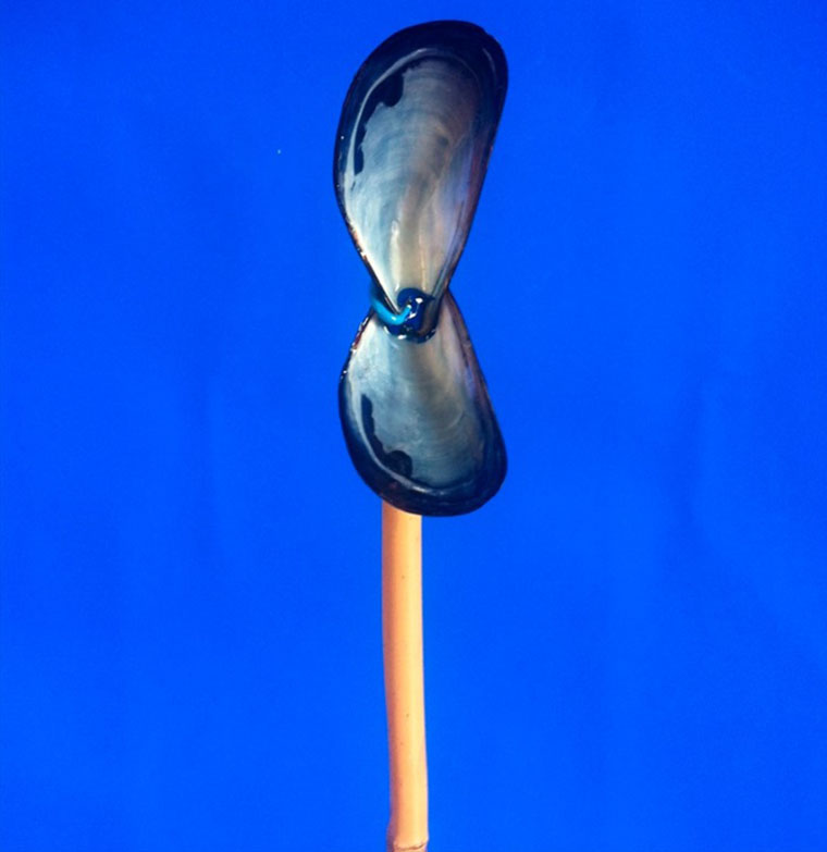 Erratum presents “A Constructed World- The development of a voice” curated by Sergio Armaroli, Steve Piccolo