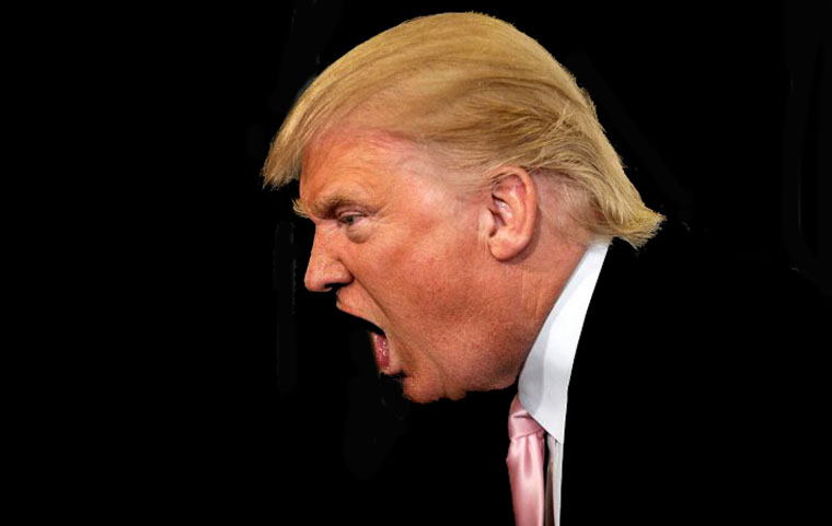 Se il Congresso USA mette le briglie al puledro Trump