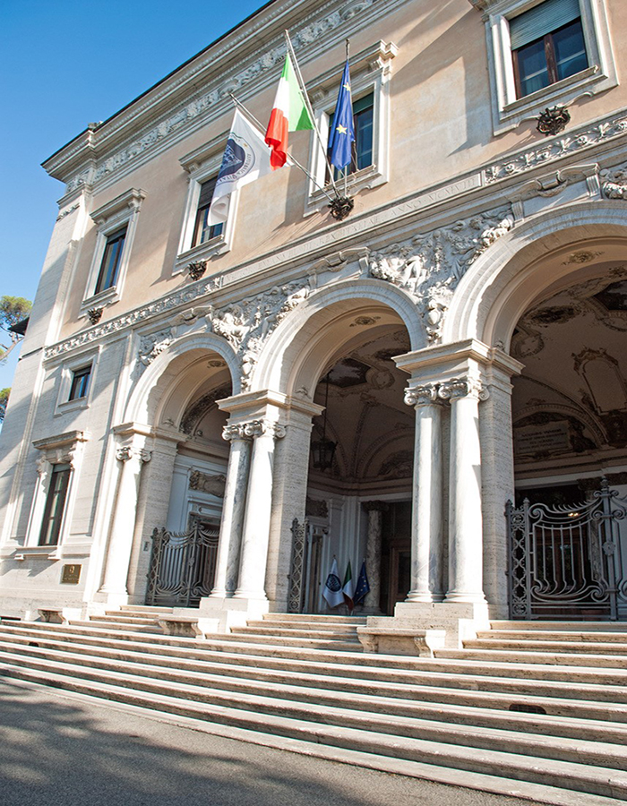 Il CNEL, questo sconosciuto